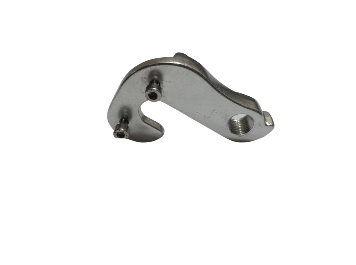 Rear derailleur online hanger