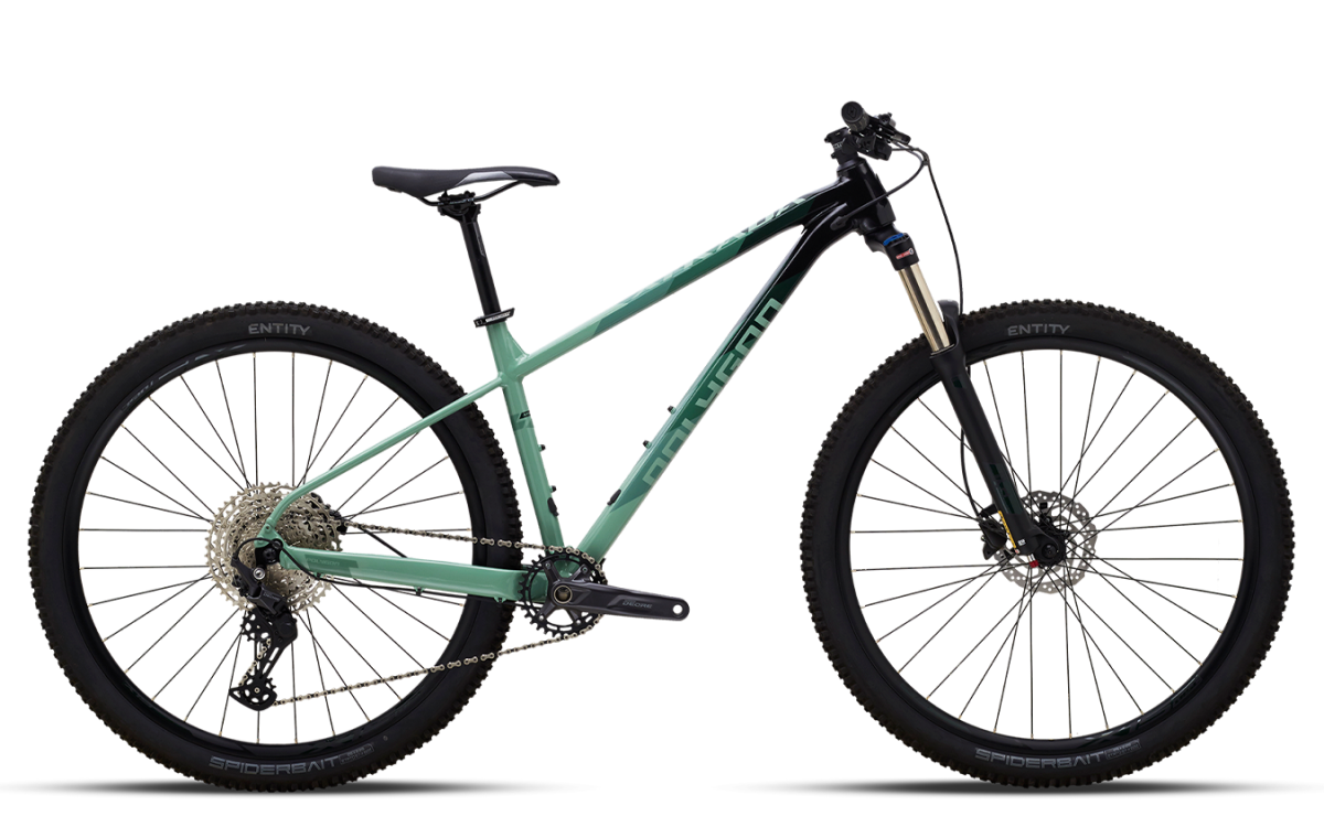 Polygon mountain bike price sale