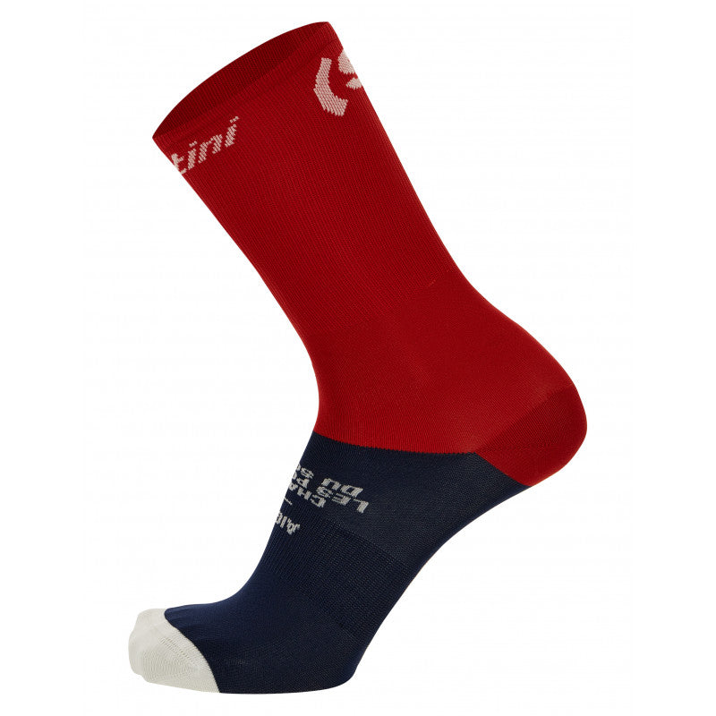 Santini Socks | TDF AIGLE - Cycling Boutique