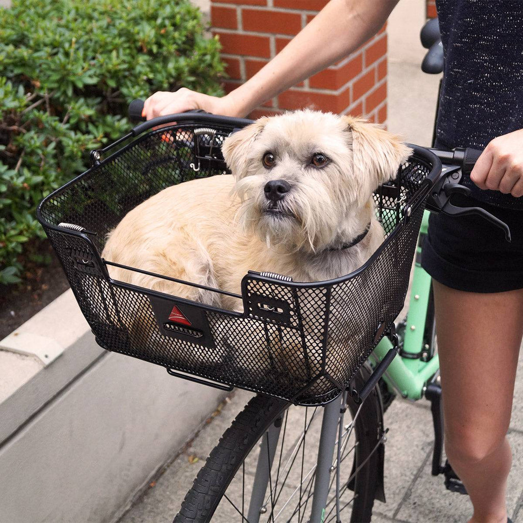 Dog basket bike front sale