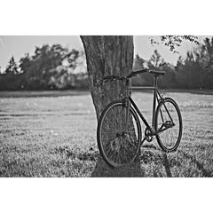 Fixed gear best sale shop near me